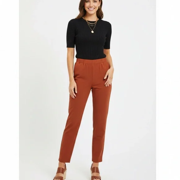Ankle Pants Size 4 Rust Burnt Orange Slim Fit Pull On Workwear A New Day Casual - Picture 1 of 15